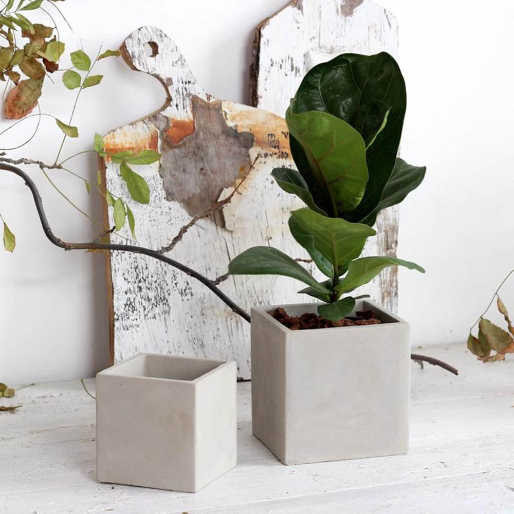 Large Square Flowerpot Silicon - огляд і ціна Potsticker Mold