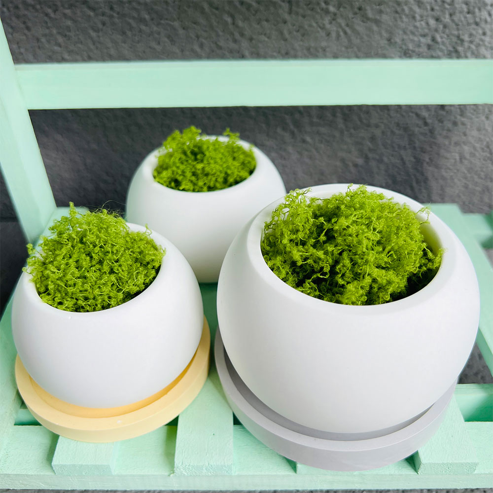 Spherical Flowerpot Silicone M - огляд і ціна Potsticker Mold